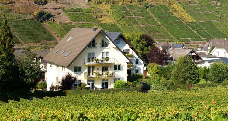 Ferienhaus Zenz - Ferienwohungen Ernst Exterior photo